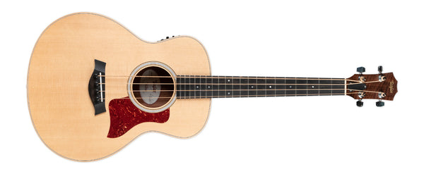 USED TAYLOR GS MINI BASS W/BAG