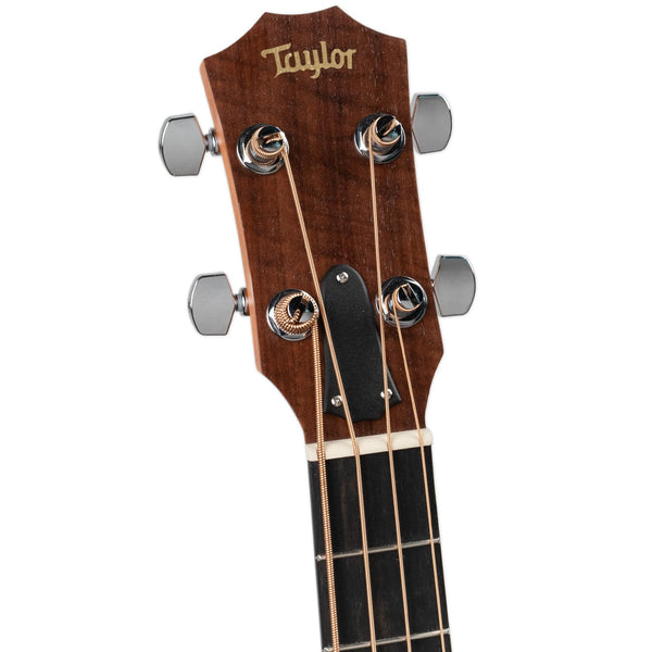 USED TAYLOR GS MINI BASS W/BAG