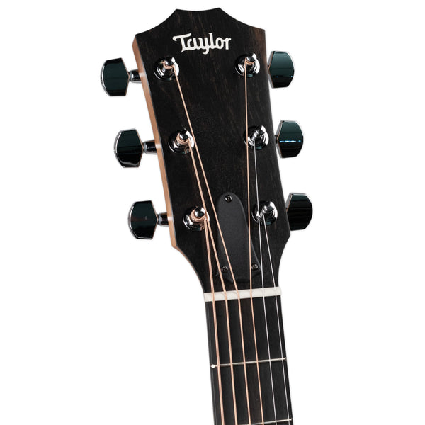 TAYLOR LIMITED EDITION 110CE-S - SAPELE BACK AND SIDES