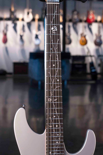 IBANEZ TOD10 TIM HENSON SIGNATURE  - CLASSIC SILVER WITH BAG