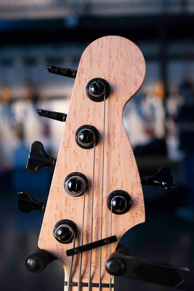 USED WARMOTH FRETLESS BASS 5-STRING
