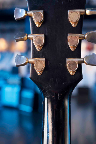 VINTAGE GUILD D-40 - SUNBURST 1977