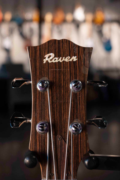 VINTAGE RAVEN DAN ARMSTRONG STYLE LUCITE BASS