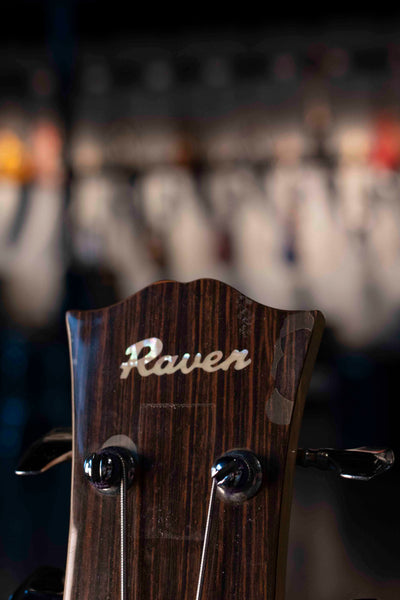VINTAGE RAVEN DAN ARMSTRONG STYLE LUCITE BASS