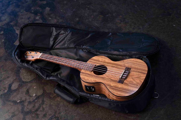 USED KALA KA-PWTE - PACIFIC WALNUT TENOR UKULELE, WITH EQ & BAG