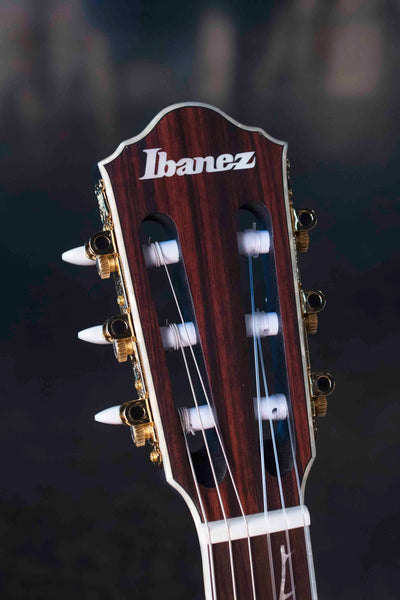 IBANEZ TOD10NTKF TIM HENSON SIGNATURE - BLACK