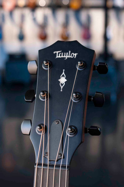 USED TAYLOR 314CE SPECIAL EDITION W/CASE