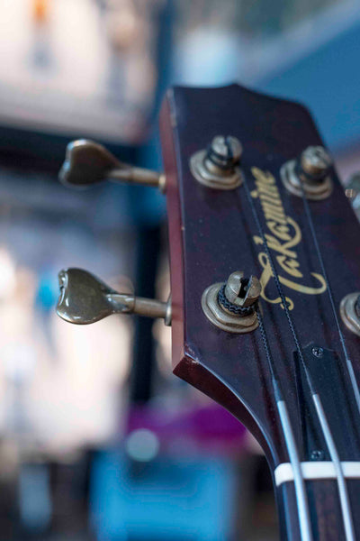 USED TAKAMINE TB10 W/CASE
