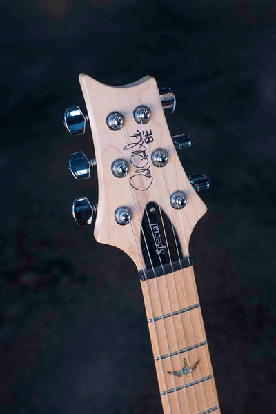 USED PRS SE SWAMP ASH SPECIAL - CHARCOAL WITH BAG