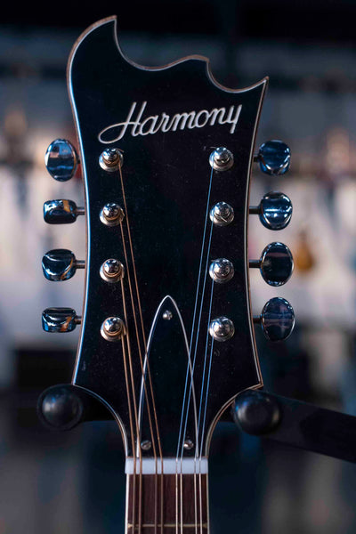 VINTAGE HARMONY BAT WING MANDOLIN