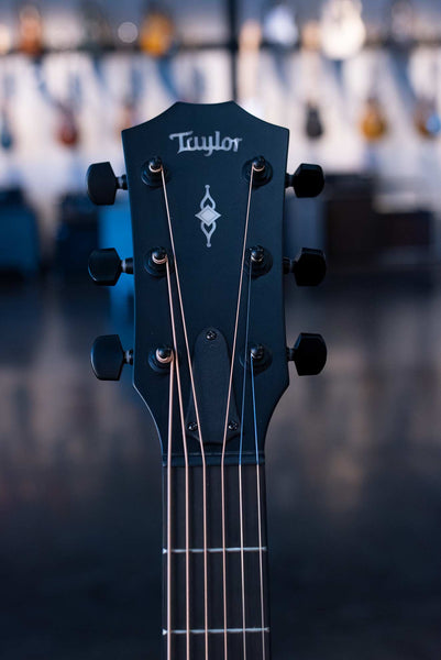 USED TAYLOR 314CE SPECIAL EDITION W/CASE