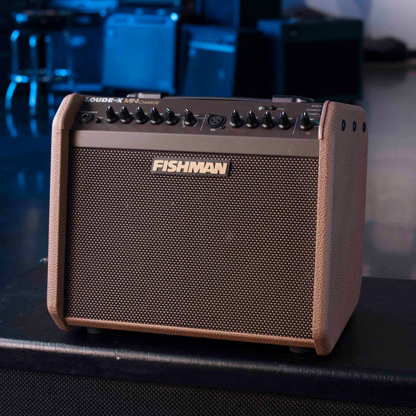 USED FISHMAN LOUDBOX MINI CHARGE WITH BOX
