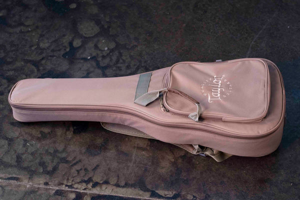 USED TAYLOR BT1 WITH BAG