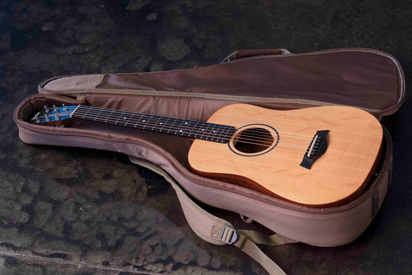 USED TAYLOR BT1 WITH BAG
