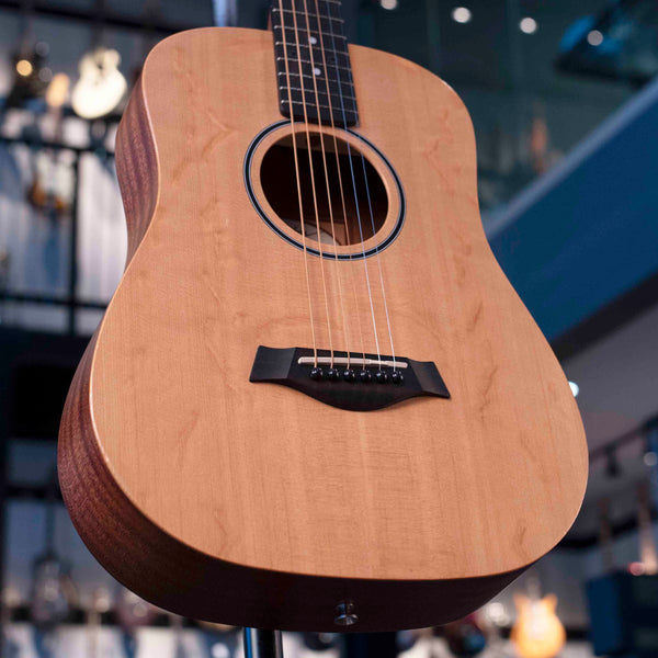 USED TAYLOR BT1 WITH BAG