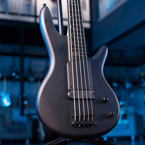 IBANEZ GWB35BKF GARY WILLIS SIGNATURE 5 STRING  FRETLESS  BASS - BLACK FLAT