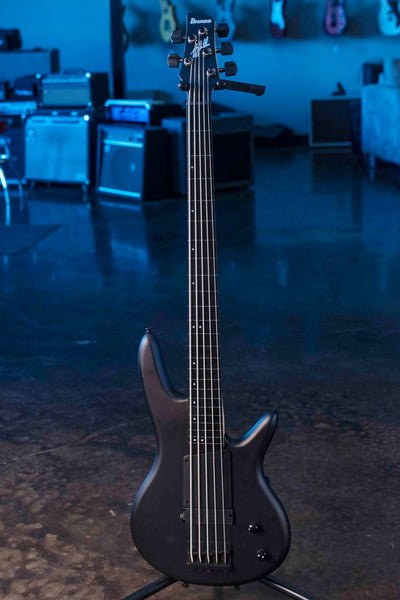 IBANEZ GWB35BKF GARY WILLIS SIGNATURE 5 STRING  FRETLESS  BASS - BLACK FLAT