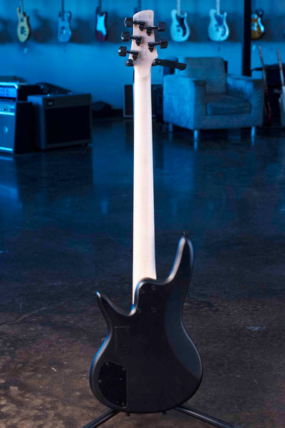 IBANEZ GWB35BKF GARY WILLIS SIGNATURE 5 STRING  FRETLESS  BASS - BLACK FLAT