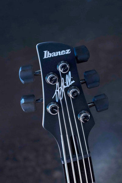 IBANEZ GWB35BKF GARY WILLIS SIGNATURE 5 STRING  FRETLESS  BASS - BLACK FLAT