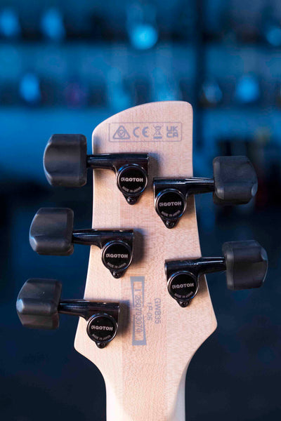 IBANEZ GWB35BKF GARY WILLIS SIGNATURE 5 STRING  FRETLESS  BASS - BLACK FLAT
