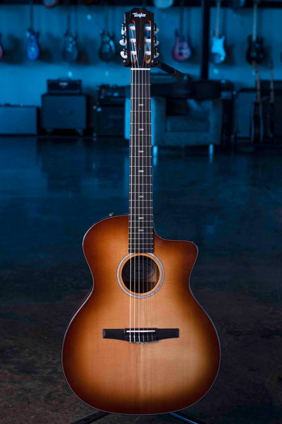 TAYLOR SUNSET BLVD 214CE-N PLUS SHADED EDGE BURST WITH AEROCASE