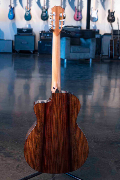 TAYLOR SUNSET BLVD 214CE-N PLUS SHADED EDGE BURST WITH AEROCASE
