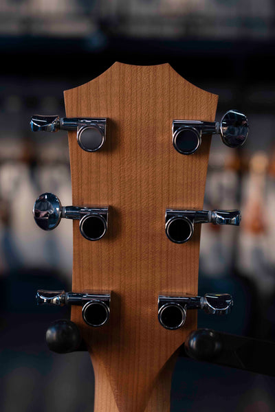 TAYLOR 24CE GRAND AUDITORIUM WITH BAG - SAPELE