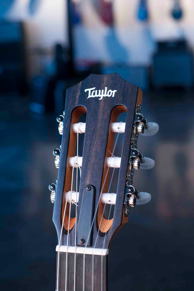 TAYLOR SUNSET BLVD 214CE-N PLUS SHADED EDGE BURST WITH AEROCASE