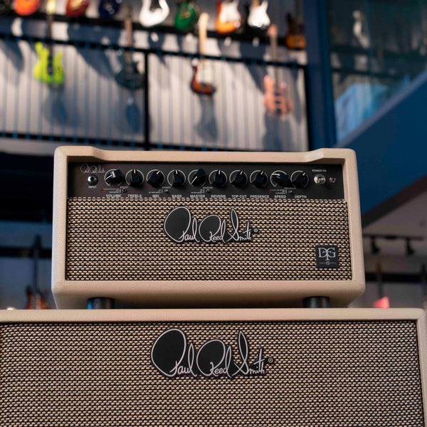 PRS DGT 15 DAVID GRISSON 15 WATT HEAD