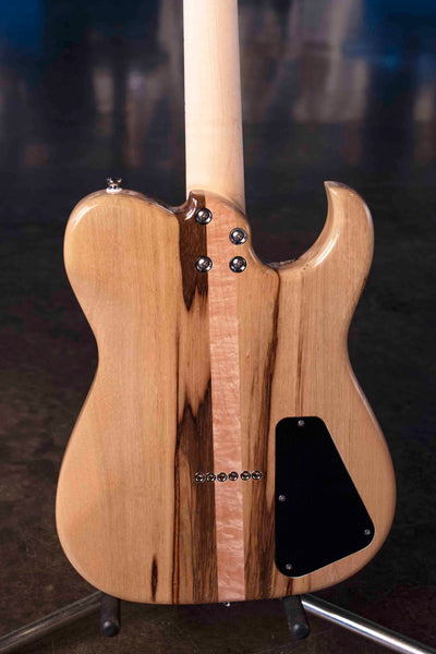 EICHEL FLORENTEL LH P90/HUMBUCKER