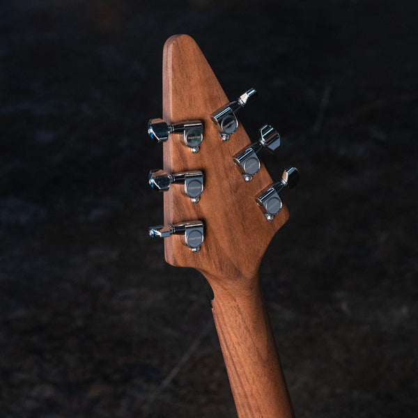 EICHEL VEIL 3 PICKUP -ELM CARVE TOP