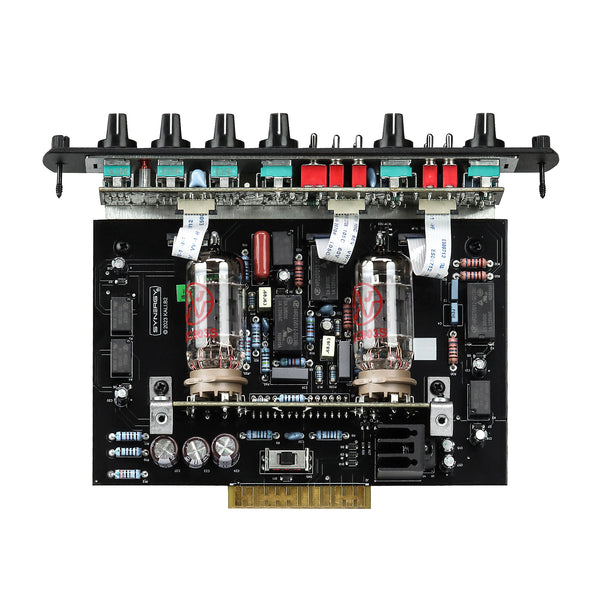 SYNERGY FORTIN KILLER KALI - TWO CHANNEL TUBE PRE AMP MODULE