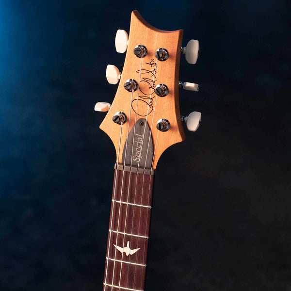 PRS S2 SPECIAL SEMI-HOLLOW RECLAIMED LIMITED EDITION