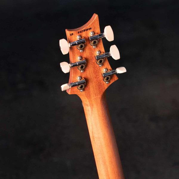 PRS S2 SPECIAL SEMI-HOLLOW RECLAIMED LIMITED EDITION