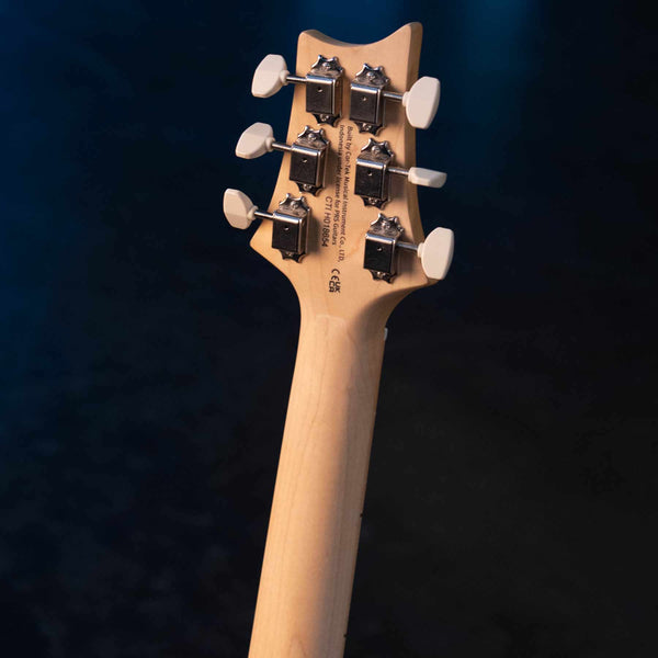 PRS SE NF 53 - WHITE DOGHAIR