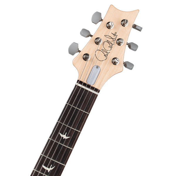 PRS SILVER SKY ROSEWOOD FINGERBOARD - TUNGSTEN