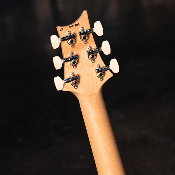 PRS SWAMP ASH SPECIAL - SPRAYERS CHOICE CRACKLE FADE