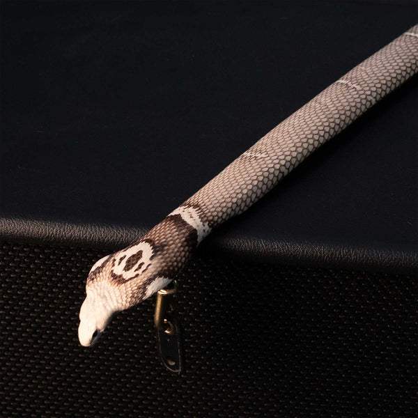 SAVAGE GUITAR STRAPS FULL TAXIDERMY COBRA