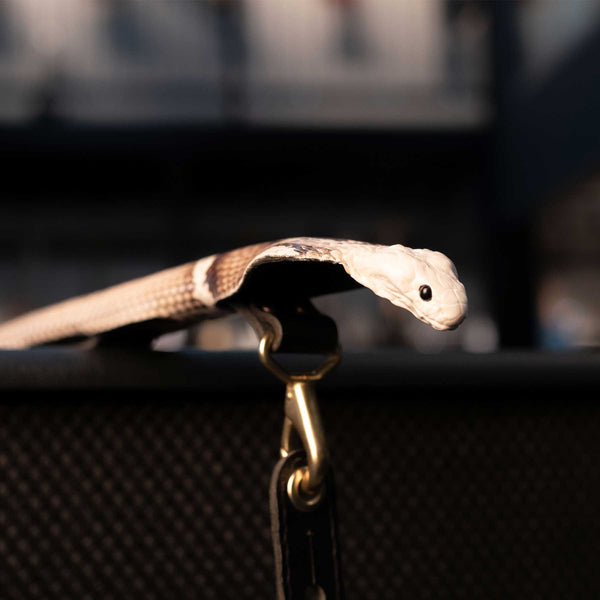 SAVAGE GUITAR STRAPS FULL TAXIDERMY COBRA