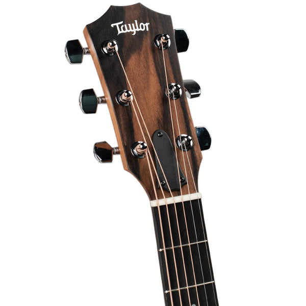 TAYLOR 117E GRAND PACIFIC - ES2 PICKUP AND GIGBAG