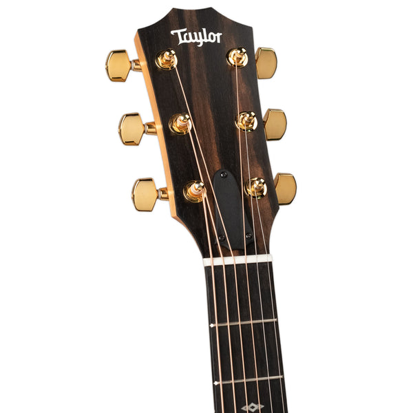 TAYLOR 217E-SB PLUS LTD 50TH ANNIVERSARY - SUNBURST WITH AEROCASE