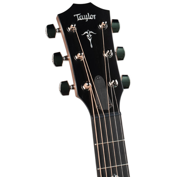 TAYLOR 514CE - URBAN IRONBARK/TORRIFIED SITKA WITH CASE