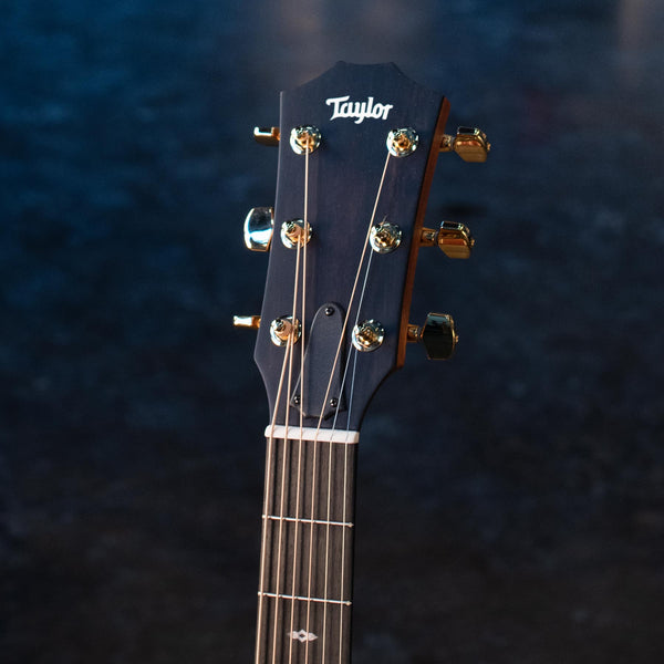 TAYLOR SUNSET BLVD 414CE STUDIO SHADED EDGE BURST