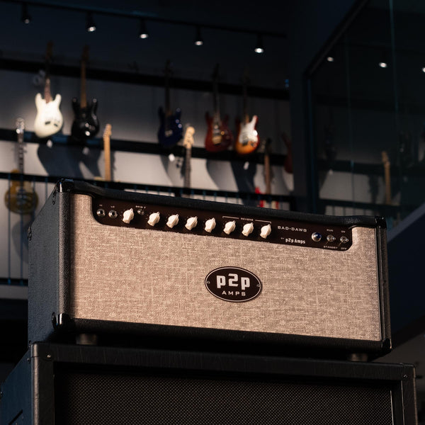 USED P2P AMPS BAD DAWG HEAD