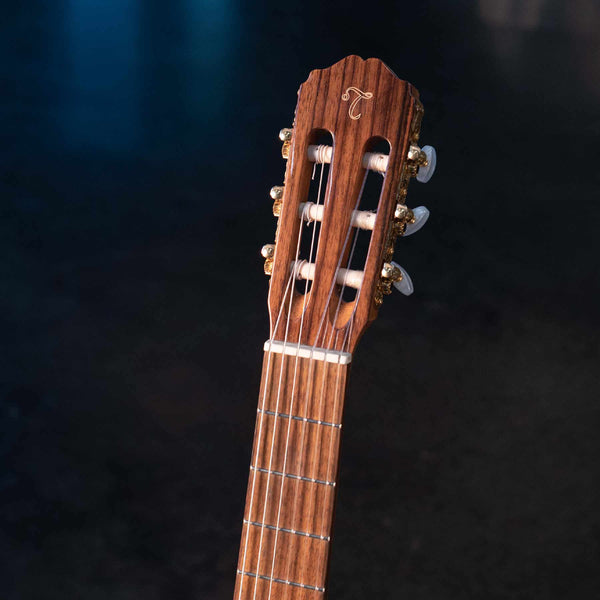 USED TAKAMINE GC5CE-NATURAL W/CASE