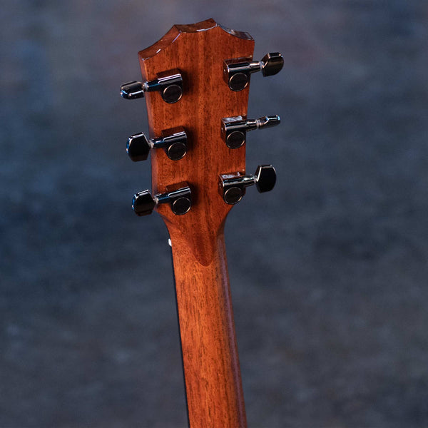 TAYLOR CUSTOM SELECT 417E - ROSEWOOD/ADIRONDACK LR BAGGS ELECTRONICS