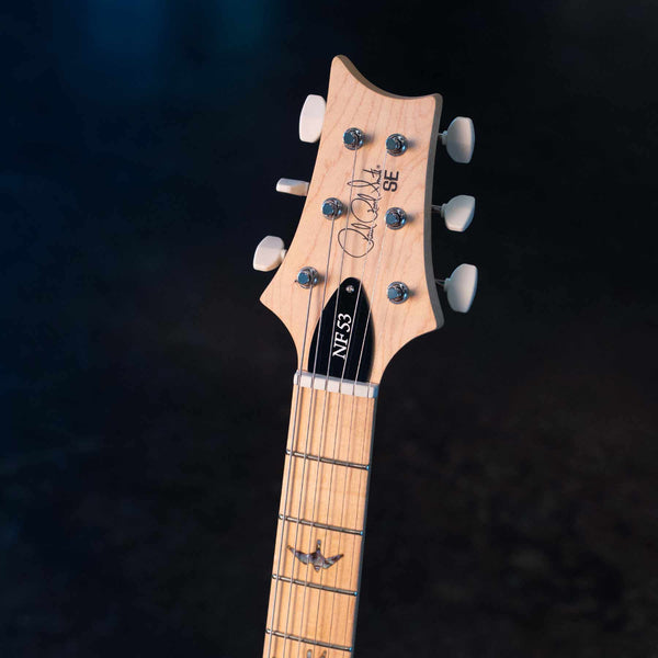 PRS SE NF 53 - BLACK DOGHAIR