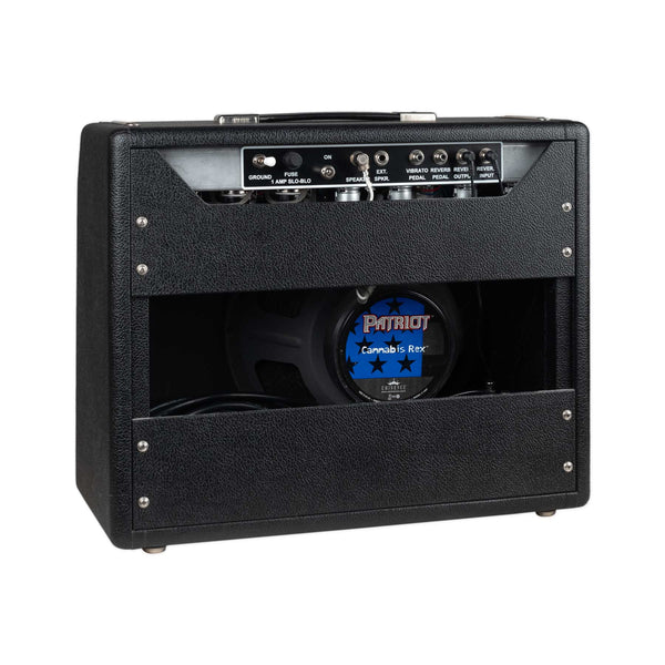 USED AMP CLONE- PRINCETON REVERB