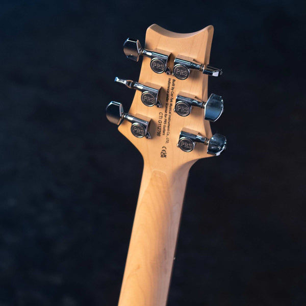 PRS SE STUDIO STANDARD ROSEWOOD - SAGE GREEN