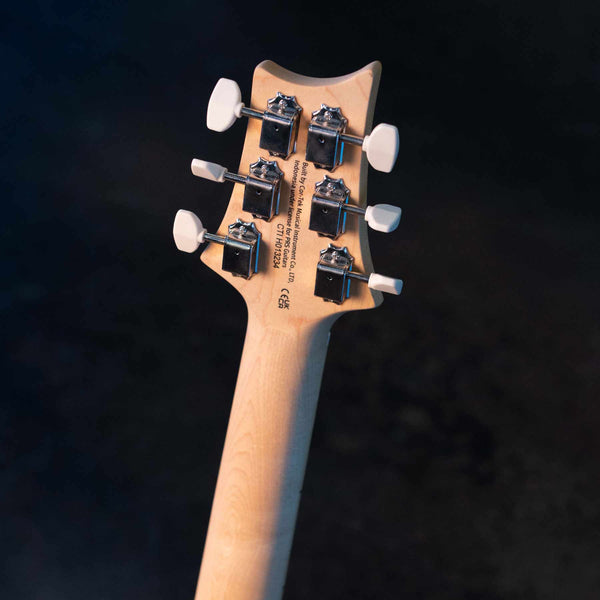 PRS SE NF 53 - BLACK DOGHAIR